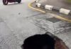 KL道路惊现大型塌陷窟窿 泥沙流失露出排水道