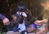 贩毒交易现场被警方包围 男子落网后坐地痛哭擦泪