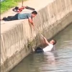 男童不慎跌入水中 男子见状抄网拉上岸