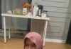 才工作4天就想辞职 女佣晕车崩溃哭诉