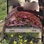 姐弟误启动电车坠河 弟弟不幸溺亡