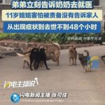 女童被狗咬不敢说 发病48小时内不治身亡
