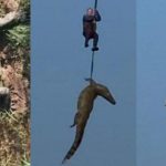 商人穿越洪水失踪 鳄鱼肚中竟现人体残骸