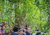 青年登山突抽筋狂吐8次 消防抬担架抢救