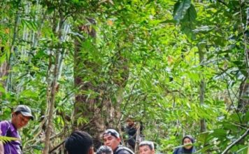 青年登山突抽筋狂吐8次 消防抬担架抢救