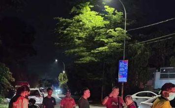 华裔姐妹撞后逃身亡 网传司机是海鲜餐馆老东主