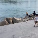 少女码头拍照落水溺毙 同伴竟悠闲喝奶茶旁观