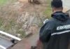 摩托骑士被撞坠桥底亡 华裔女司机被提控上庭