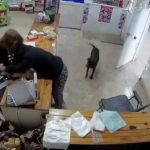 偷杂货店钱不成狼狈逃走 半裸女贼竟折返要求删画面