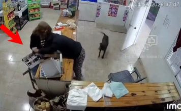 偷杂货店钱不成狼狈逃走 半裸女贼竟折返要求删画面
