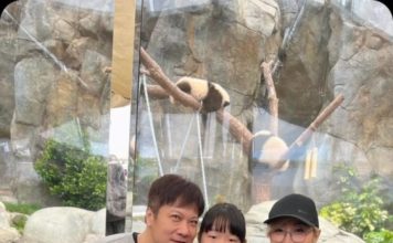 钱嘉乐大女儿长大了 神复制父母优点