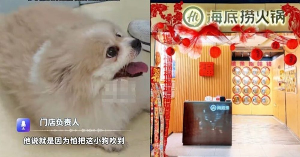HaiDiLao-Hotpot-260623-1-1