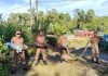家后水沟惊现18尺巨蟒 居民当场吓坏