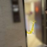 女子陈尸床上已出现尸斑 同居男子遭警方逮捕