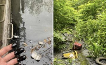 帮忙清出200袋河道垃圾 男子却遭政府调查