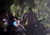 骑摩哆撞狗后再追打致死 2男子罪名成立