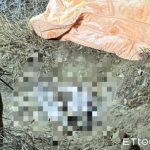 女移工产女婴夭折 尸体被直接掩埋未包裹