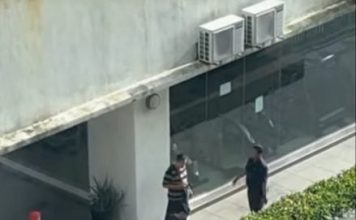 从12楼坠至7楼 姐弟双双当场身亡