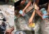 子女清理住家翻到黑袋子 已故母亲钱包塞满现金