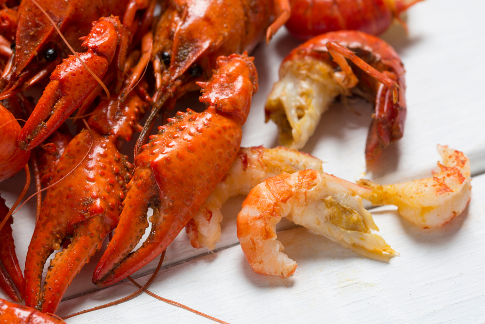Boiled,Crawfish,On,A,White,Background