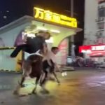 狂牛闯入街头连撞路人 3人被撞飞受伤