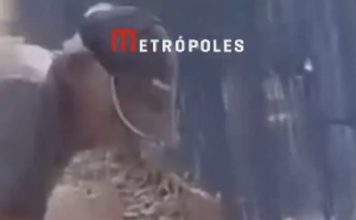好心喂野生蜥蜴喝水 男子手指被咬到截肢