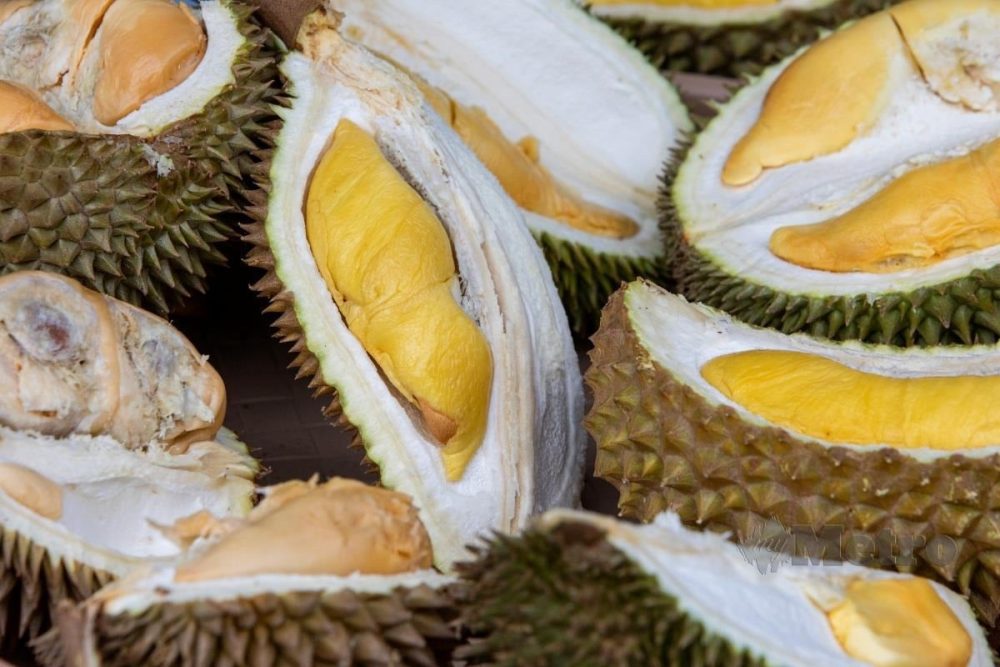 0707rsdurian_1783393091