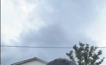 大马网红冒雨投票晒墨指 号召年轻人别错过一票