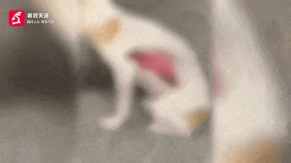 20260720-my-32-03