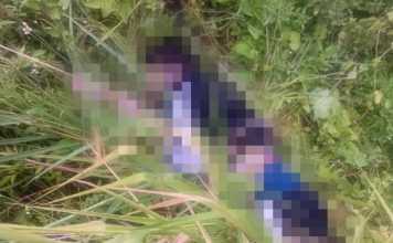2少女离奇丧命陈尸草丛 警方暂排除他人涉案可能