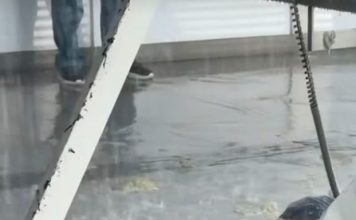 33楼坠下砸穿办公室屋顶 华裔男疑工作压力寻短