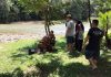少年河中突失踪 被救上岸后仍不幸离世