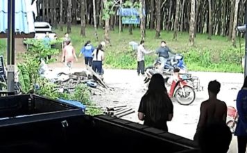 路边遇袭倒地被拖上车载走 男子疑遭抛入池中失踪