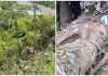 10吨罗里失控坠150尺深谷 司机遭大树压毙身亡