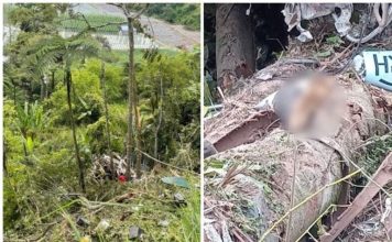 10吨罗里失控坠150尺深谷 司机遭大树压毙身亡
