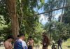 17岁少年戏水遭急流冲走 消拯抢救1小时仍回魂乏术