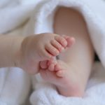 家长离房后宠物狗靠近 婴儿脑袋当场遭咬伤