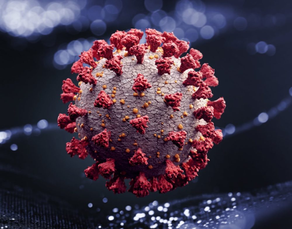 coronavirus-disease-2019-covid-1