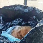 养了16年爱犬被丢垃圾桶 狗主发现遗体心碎报警