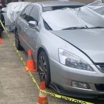 疑激情后睡死没再醒来 男女双双离奇陈尸车内