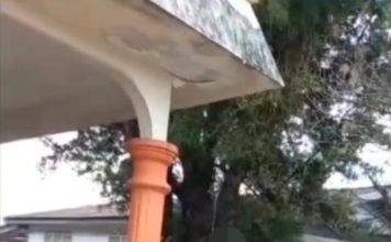 早餐与友人聊天竟成遗言 华裔男返家后树下轻生