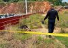 草丛惊现夭折婴尸 警方介入调查追查弃尸者