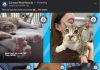 第一次看脚掌吓一跳 猫咪竟藏着28根脚趾