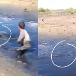 水中漂浮“木头”竟是鳄鱼 男子吓得当场拔腿逃跑