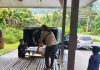 30岁男子倒卧旅游站平台 医护到场证实身亡