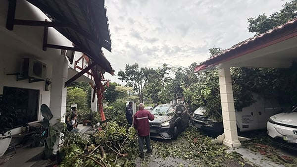tree-fell-destroyed-garage-260722-a6-noresize