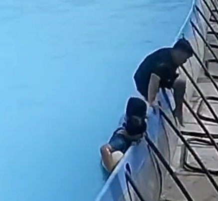 vn