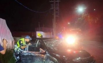 男子深夜驾车撞电线杆 车身削掉一半当场身亡