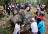 居民梦见树神“托梦”求救 河底竟挖出2段百年古木
