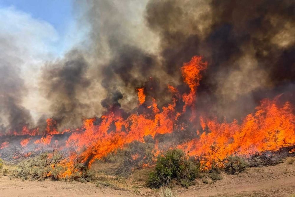20260809CPKK38c_US_WILDFIRE_7148